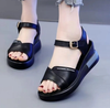 Giày sandal quý cô sang trọng LD554