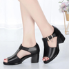 Giày thời trang cao cấp chính hãng đế cao 5 phân -  LD56