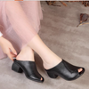 LD551 Giày Sandal Quý Cô Cao Cấp – Đẳng Cấp Vượt Thời Gian