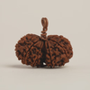 Hạt Rudraksha Gauri-Shankar