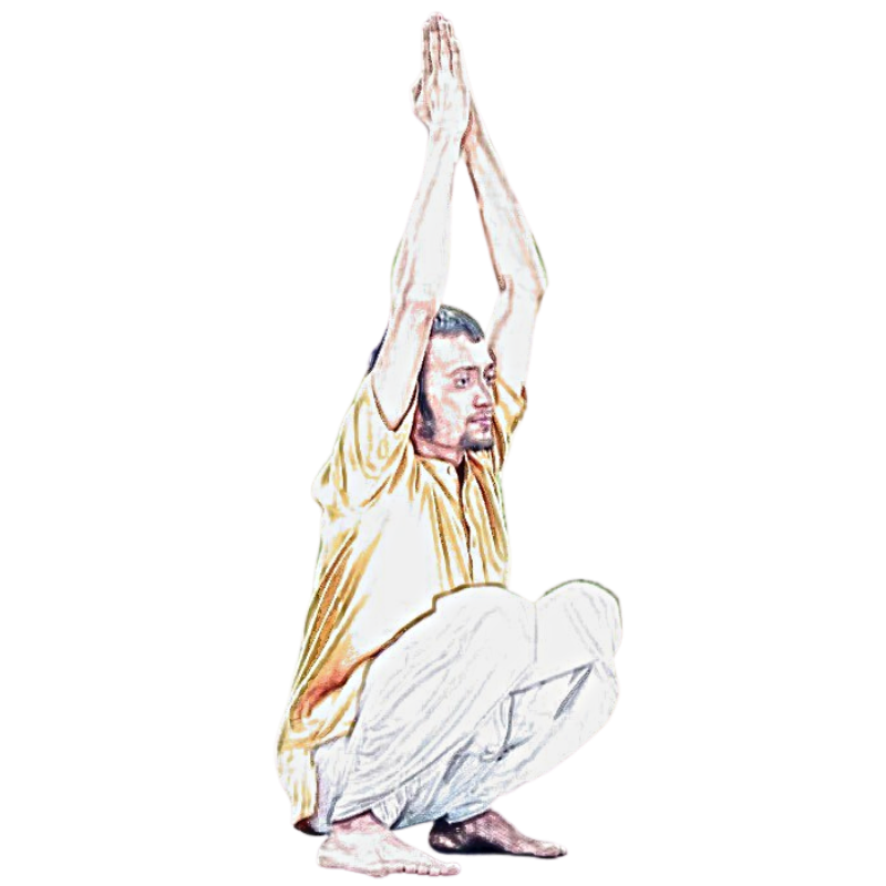  Yoga cho người mới bắt đầu 