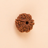 Hạt Rudraksha (sáu mặt) dành cho trẻ em dưới 14 tuổi