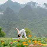  Yogasanas (Hoàn chỉnh) | 4 buổi | 08 - 09.06.2024 | HCM 