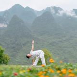  Yogasanas (Hoàn chỉnh) | 4 buổi | 08 - 09.06.2024 | HCM 
