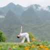  Yogasanas (Hoàn chỉnh) | 4 buổi | 08 - 09.06.2024 | HCM 