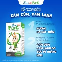 TPBVSK Smartbibi Flu C - Siro hỗ trợ giảm cảm lạnh, cảm cúm