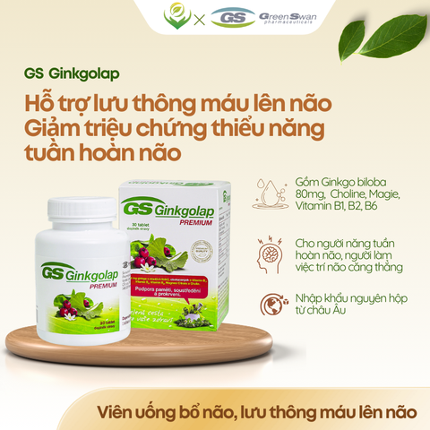 TPBVSK GS Ginkgolap - hỗ trợ tăng cường lưu thông máu lên não