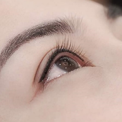 Phun mí makeup Ombre