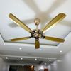  Quạt trần 5 cánh động cơ DC - FTL 524 