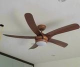  Quạt trần 5 cánh động cơ DC - FTL 545 