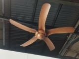  Quạt trần 5 cánh động cơ DC - FTL 545 