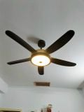  Quạt trần 5 cánh động cơ DC - FTL 534 