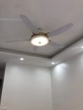  Quạt trần 5 cánh động cơ DC - FTL 534 
