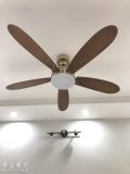 Quạt trần 5 cánh động cơ DC - FTL 538 