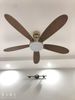  Quạt trần 5 cánh động cơ DC - FTL 538 