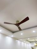  Quạt trần 3 cánh DCT Fan 226 