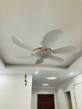  Quạt trần 6 cánh động cơ DC - FTL 621 