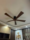  Quạt trần 5 cánh DCT Fan 214 - Thân đen 