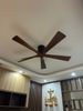  Quạt trần 5 cánh DCT Fan 214 - Thân đen 