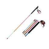  Gậy leo núi | Zenone Z1802 - Colorful Carbon 