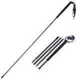  Gậy chạy bộ | Zenone Z2105 - Full Carbon 