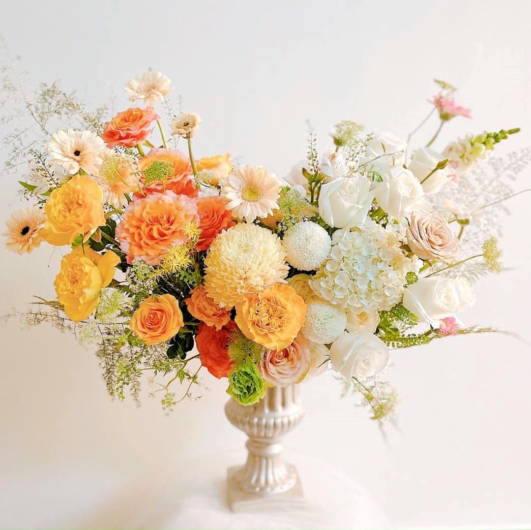 FIDELIA - BÌNH HOA CHÂU ÂU