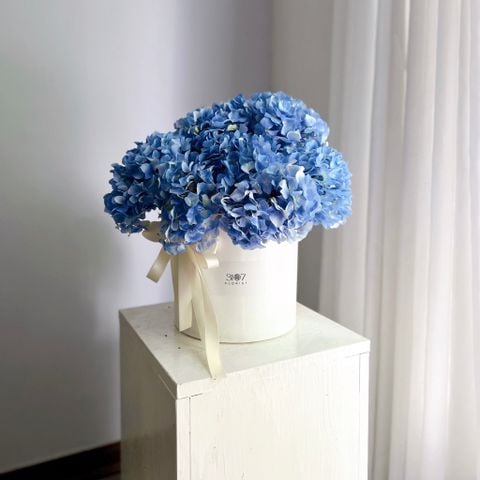  CLOUDY - LẪNG HOA CẨM TÚ CẦU 