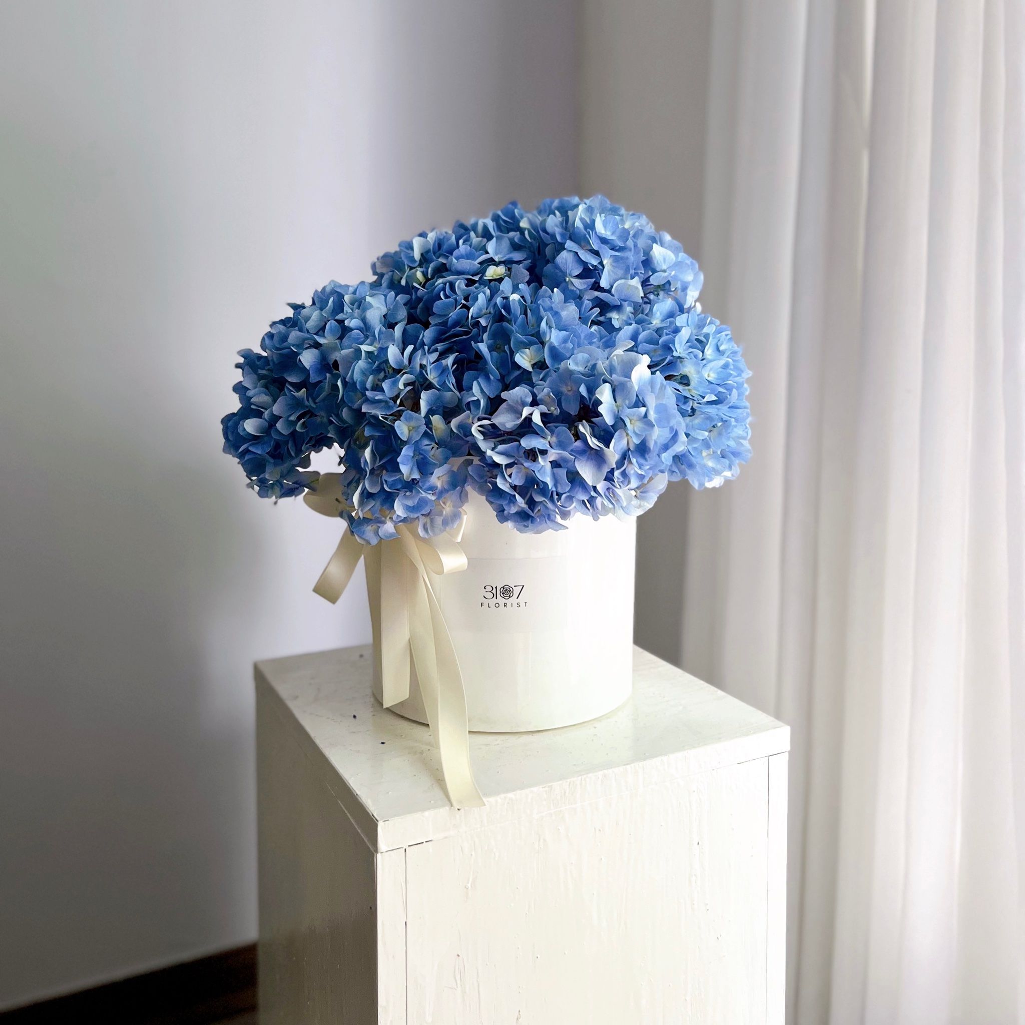 CLOUDY - LẪNG HOA CẨM TÚ CẦU