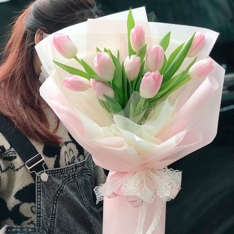  JESSICA - BÓ HOA TULIP HỒNG 