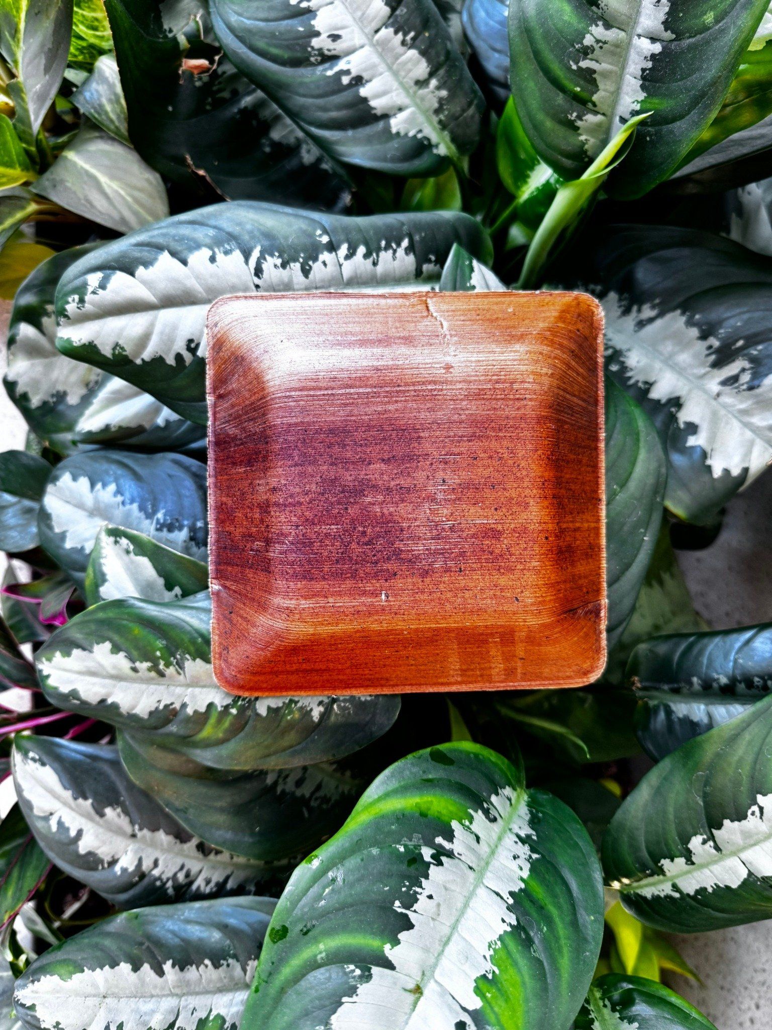  Set 10 chén vuông 7 cm 