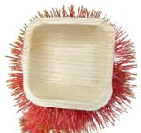  Set 10 chén vuông 7 cm 