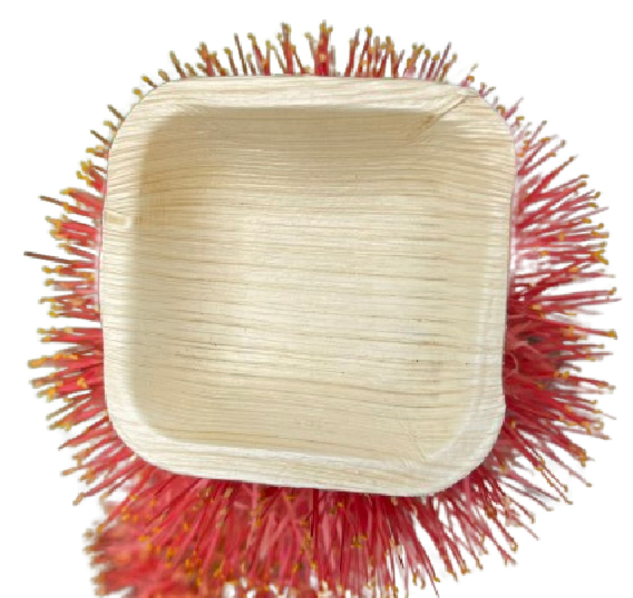  Set 10 chén vuông 7 cm 