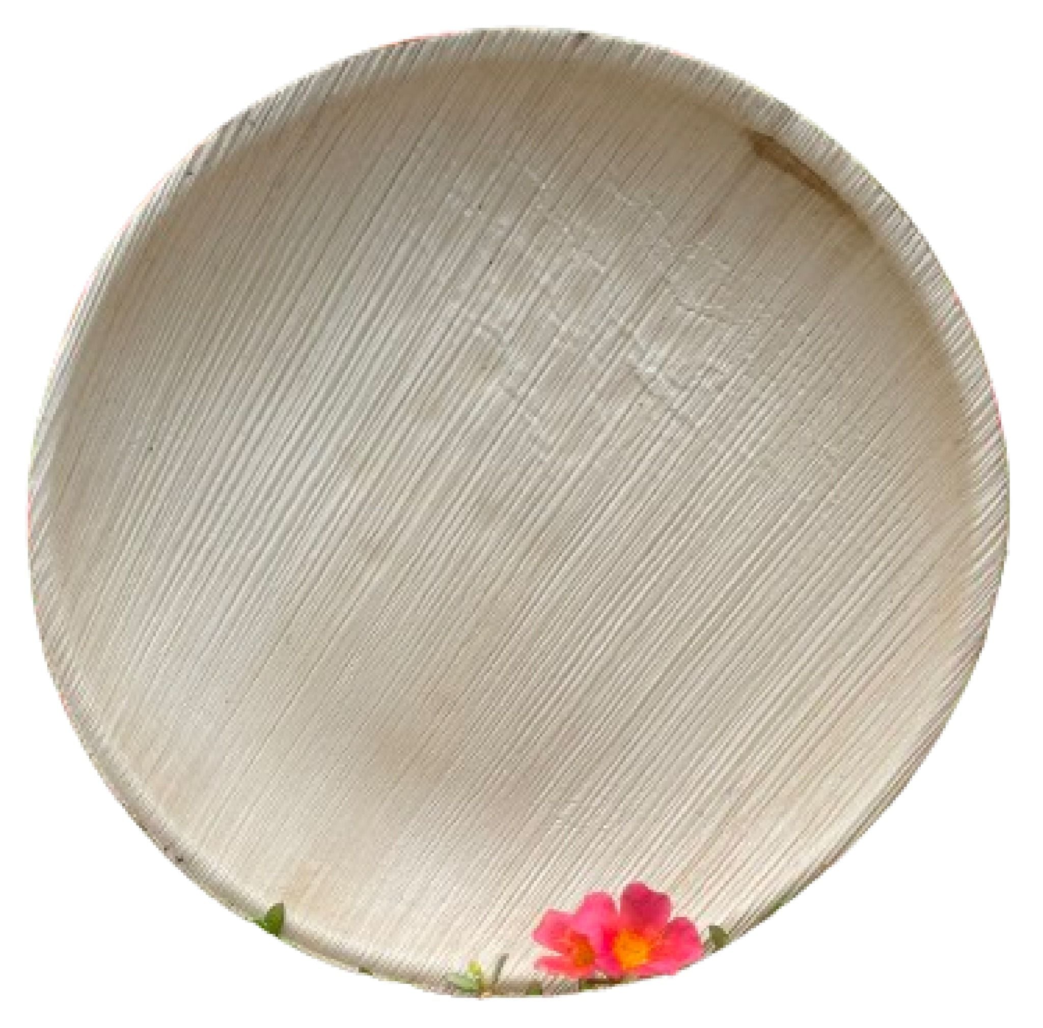  Set 10 Đĩa tròn 25 cm 