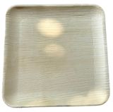  Set 10 Đĩa vuông 25 