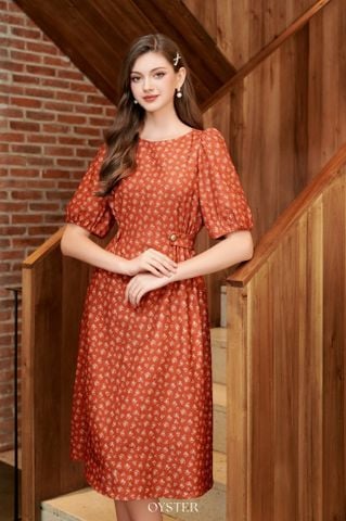 V14-Đầm Allia-BF_50%