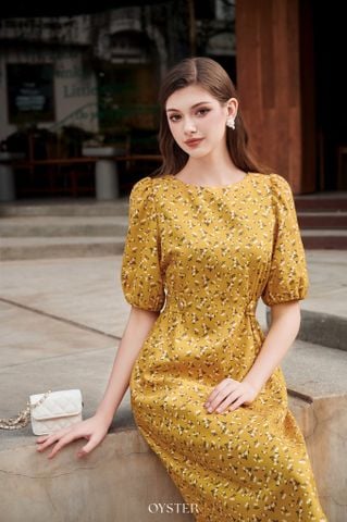 V15-Đầm Allia-BF_50%