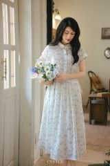 Đầm Alice