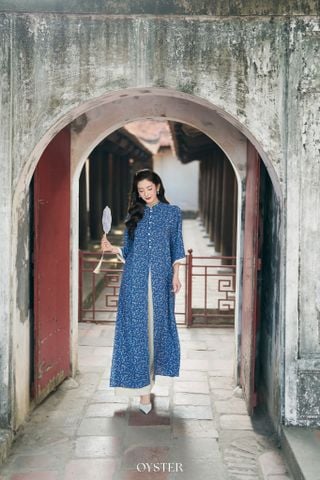 Áo dài Tuệ Mẫn-BF_30%