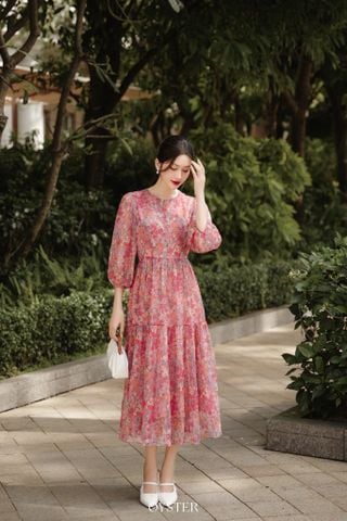 Đầm Aster