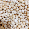 HÀNG SỈ NHÂN MACCA ÚC