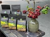  CÀ PHÊ PHIN ORIGINAL BLEND - GU ÊM MƯỢT - PHIN ORIGINAL BLEND COFFEE - SMOOTH TASTE 