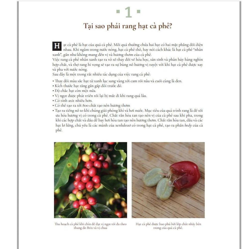  SÁCH ĐỒNG HÀNG CÙNG NGHỆ NHÂN RANG CÀ PHÊ 