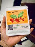  CÀ PHÊ PHIN GIẤY ĐẶC SẢN - DRIP COFFEE 100% FINE ROBUSTA 
