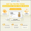 Hộp 30 Miếng Mặt Nạ Wonjin Effect Water Toning Concentrated Essence Effect Mask 350g
