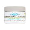 Mặt đất sét Kiehl's Rare Earth Deep Pore Cleansing 28ml