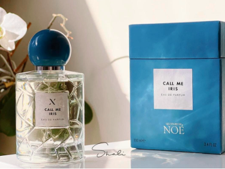 CALL ME IRIS レスールドノエ Les Soeurs de Noe - CALL ME IRIS sample | Flying Solo NYC