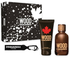  Set Wood Dsquared2 pour homme edt 100ml + shower gel 100ml 