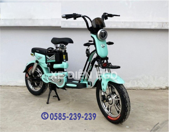 Ava z6