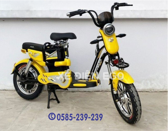 Ava z6