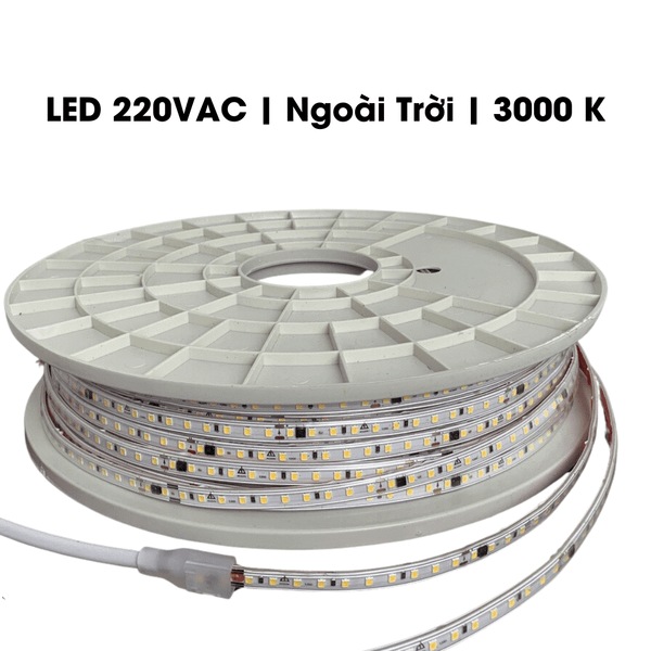 LED NGOÀI TRỜI NGUỒN 220VAC - CUỘN 100 MÉT